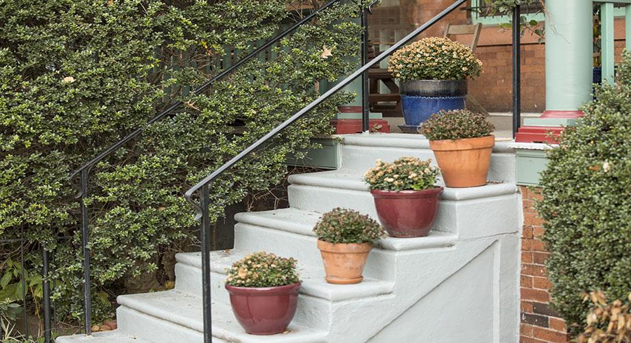 Steps with plants